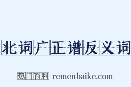 北词广正谱反义词是什么意思的图片